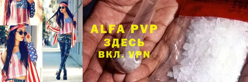 закладка  Пошехонье  Alfa_PVP СК КРИС 